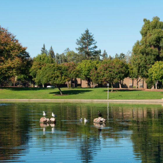 Sunnyvale_2